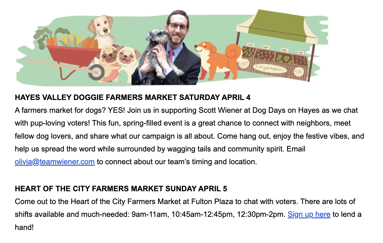 Team Wiener newsletter